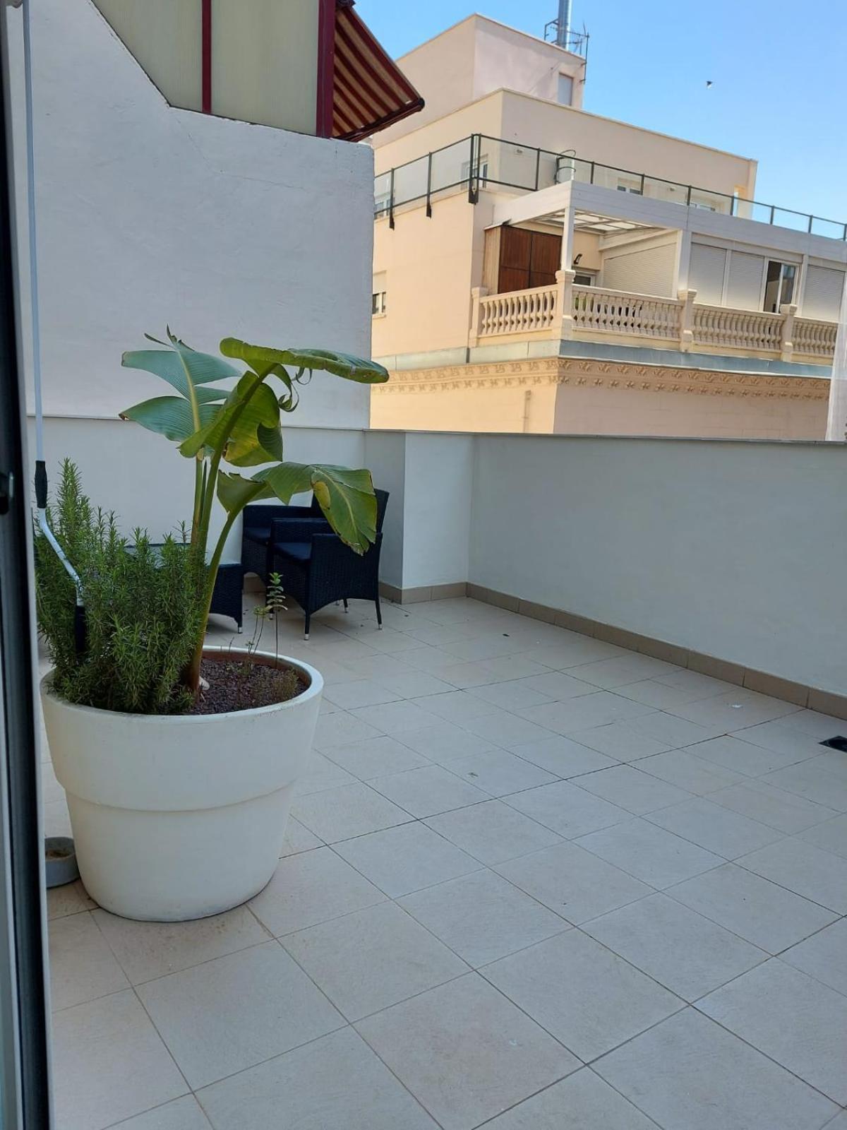 Sanfernando14 Lejlighed Alicante Eksteriør billede
